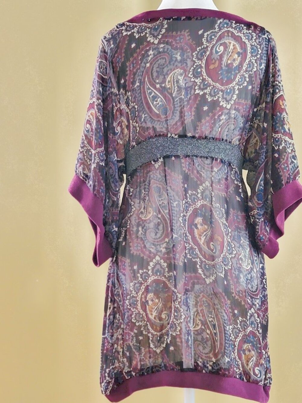 CHIC SHEER DRESS - Picture 6 of 11
